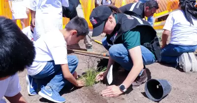 Reforestaci�n en Tijuana