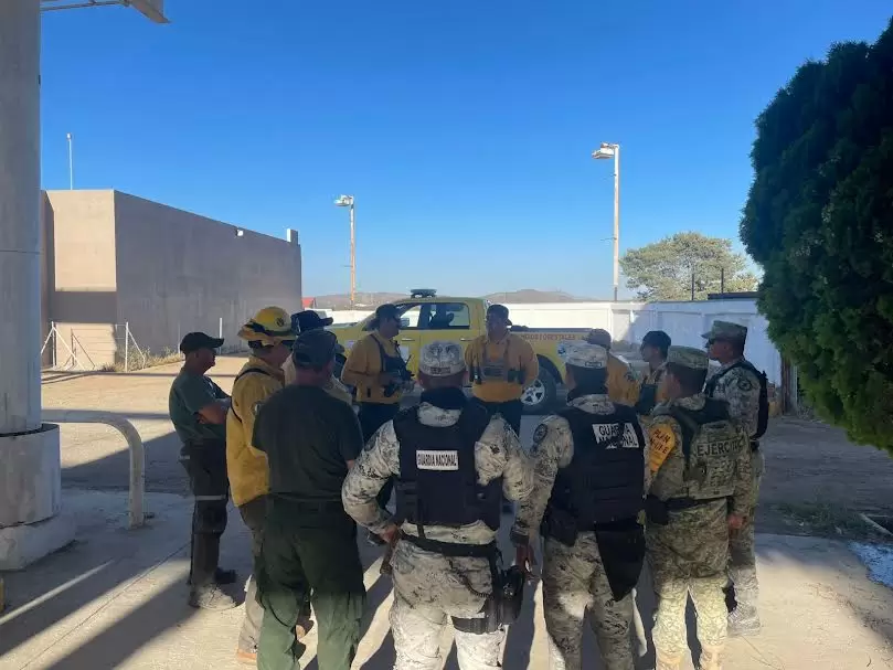 Liquidan incendio forestal en el kil�metro 85 de la carretera libre Tecate-Mexicali