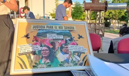 Comit� de Cuencas del R�o Sonora.
