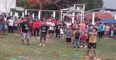 Pi�ata con animales.