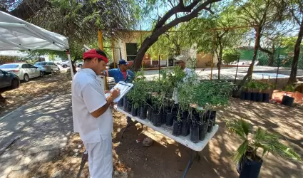 Vivero municipal