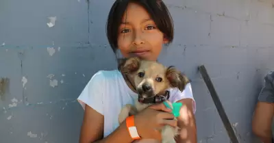 Campa�a gratuita de esterilizaci�n en El Ni�o