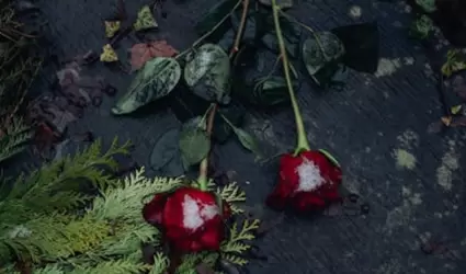 cementerio
