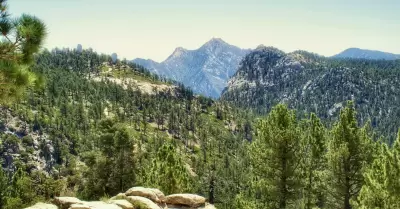 Sierra de San Pedro M�rtir