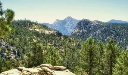 Sierra de San Pedro M�rtir