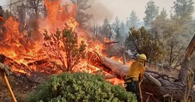 Incendio forestal en San Pedro M�rtir