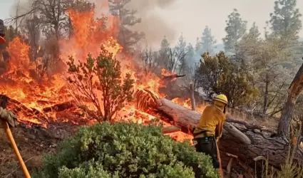 Incendio forestal en San Pedro M�rtir