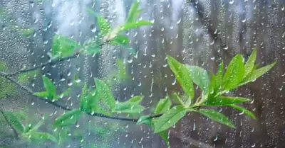 Lluvia