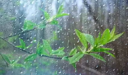 Lluvia