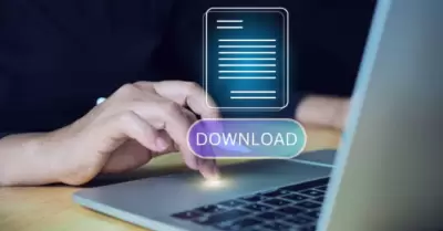 Descarga