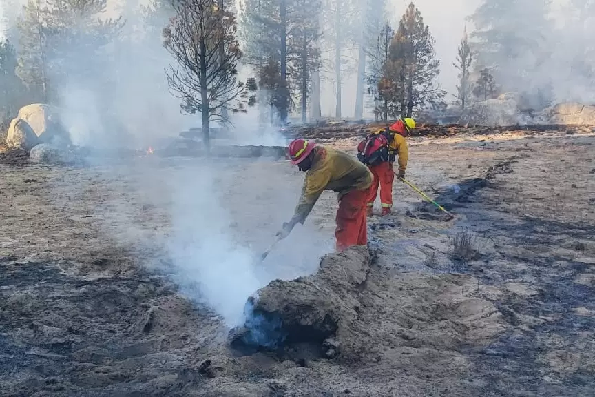 Control y liquidaci�n del incendio en San Pedro M�rtir