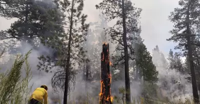 Control y liquidaci�n del incendio en San Pedro M�rtir