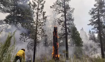 Control y liquidaci�n del incendio en San Pedro M�rtir
