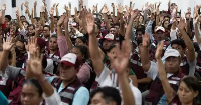 Comit�s seccionales de Morena