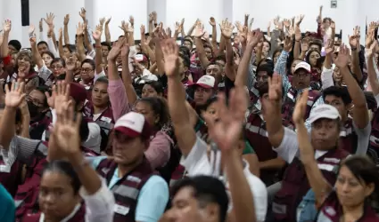 Comit�s seccionales de Morena
