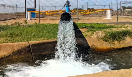 PEUA