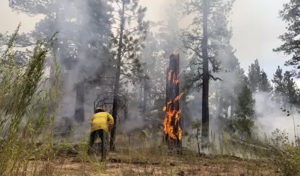 Combate de incendio forestal en San Pedro M�rtir