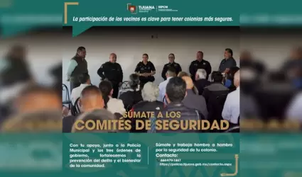 Comit�s de Seguridad