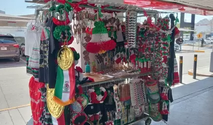 Art�culos patrios