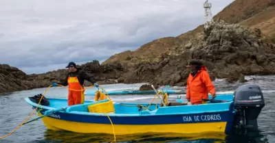 Pesca