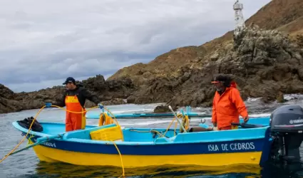 Pesca