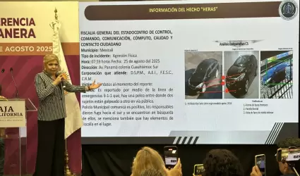 Detenidos por agresi�n a periodista