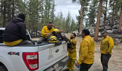 Liquidados los incendios del "Complejo San Pedro M�rtir" y "Rosa de Castilla" en