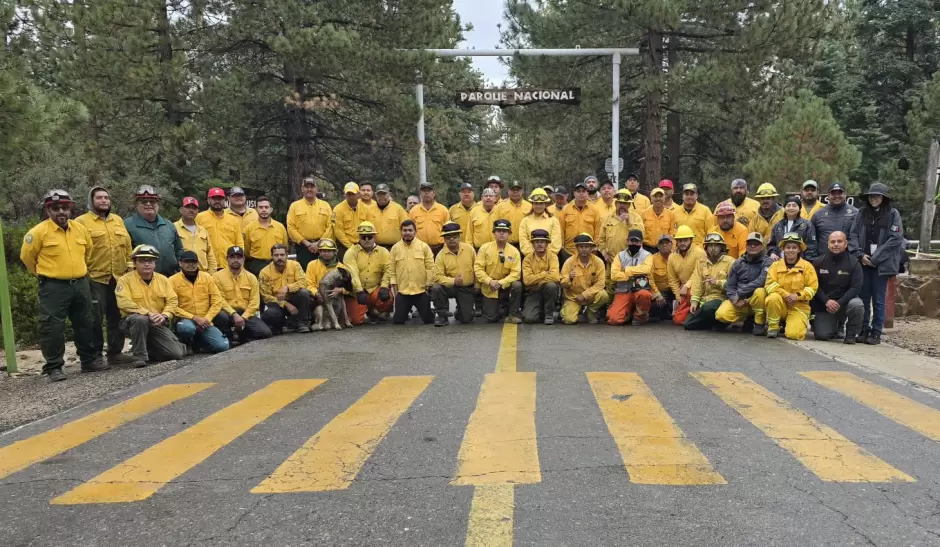 Liquidados los incendios del "Complejo San Pedro M�rtir" y "Rosa de Castilla" en Sierra de Ju�rez
