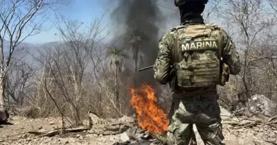 Seguridad