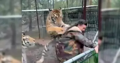 Tigre intenta atacar a mujer en parque tur�stico de Mazamitla
