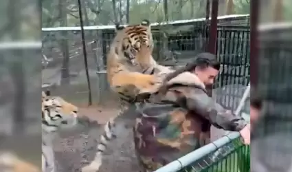 Tigre intenta atacar a mujer en parque tur�stico de Mazamitla