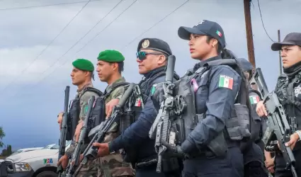 Operativo agentes polic�as