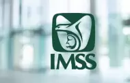 Inhabilitan a dos empresas por falsear informaci�n e incumplir contratos con el IMSS
