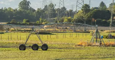 Riego, agricultura