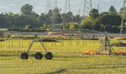 Riego, agricultura