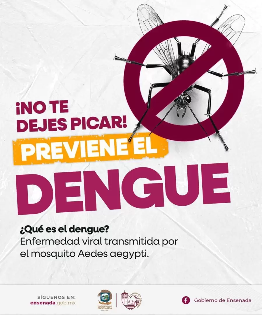 Prevenci�n del dengue