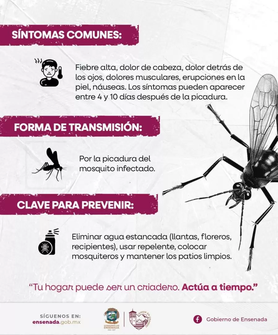 Prevenci�n del dengue