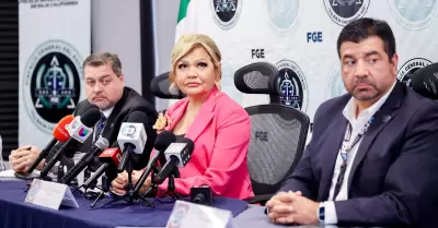 Fiscal General