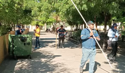 Poda de �rboles de naranja en la Plaza Zaragoza