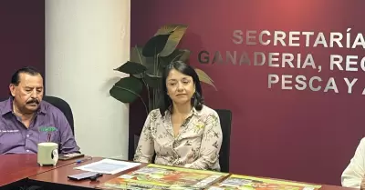 Anuncian Simposio sobre Nogal Pecanero