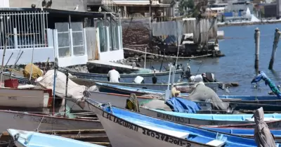 Pesca de camar�n