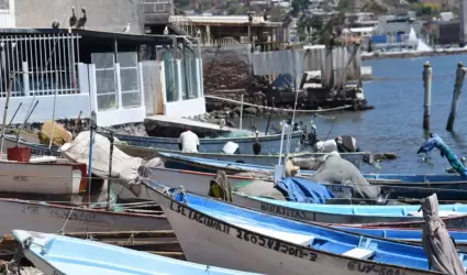 Pesca de camar�n