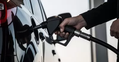 Gasolina