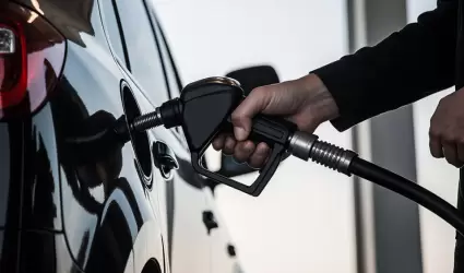 gasolina
