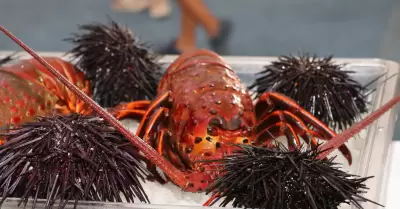 Temporada de pesca de langosta roja del Pac�fico