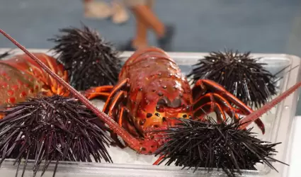 Temporada de pesca de langosta roja del Pac�fico