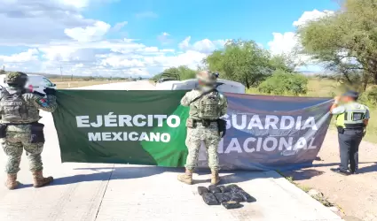 Decomiso Sonora