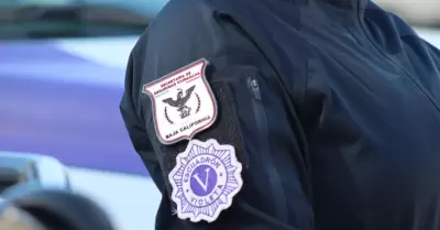 Escuadr�n Violeta