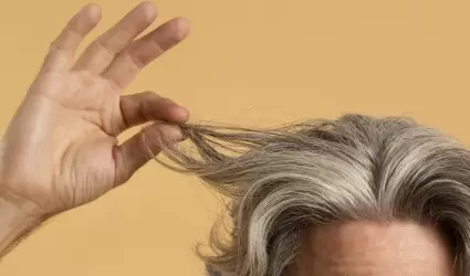 Canas