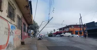 Cay� poste de energ�a el�ctrica